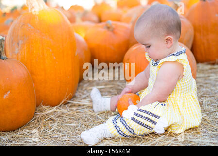 Adorabile bambina gioca con una zucca in un orto di zucche Foto Stock