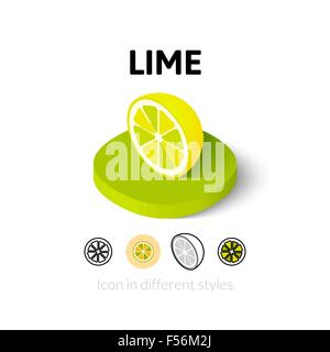 Icona di lime in stile differente Illustrazione Vettoriale