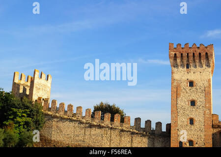 Este è una città e comune della provincia di Padova, in Veneto, la regione del nord Italia. Le mura del castello carrarese, costruita intorno al 1339 sulle ceneri del castello estense. Le pareti formano un poligono circondato da torri a intervalli regolari. Oggi all'interno del castello è utilizzato come un giardino. Foto Stock