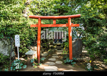 Atago Jinja, Minato-Ku, Tokyo, Giappone Foto Stock