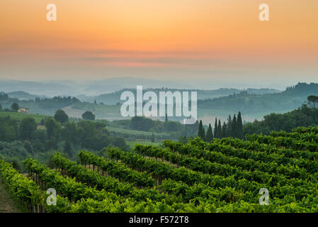 Paesaggio nel sunrise vicino a San Gimignano, Toscana, Italia, Europa. Foto Stock