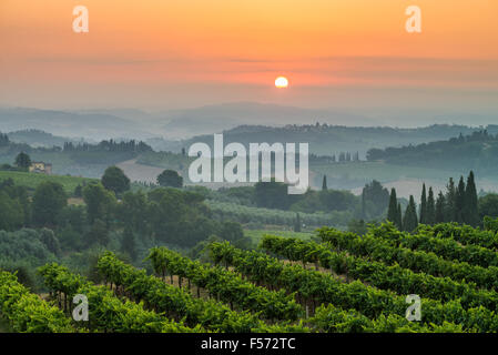 Paesaggio nel sunrise vicino a San Gimignano, Toscana, Italia, Europa. Foto Stock