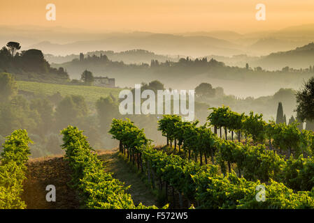 Paesaggio nel sunrise vicino a San Gimignano, Toscana, Italia, Europa. Foto Stock