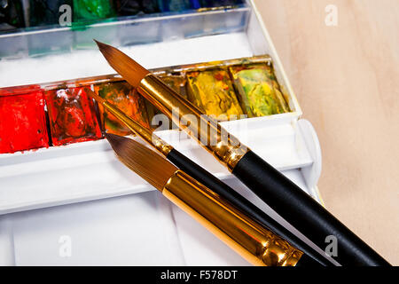 Vista ravvicinata della professional aquarelle vernici in scatola con spazzole su sfondo di legno. Foto Stock