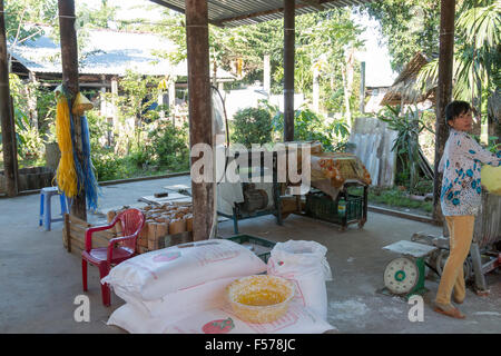 Sau Hoai del riso a base di noodle fabbrica , Can Tho, Delta del Mekong, popolare con gite turistiche per vedere il riso tagliatelle fatte,Vietnam Foto Stock