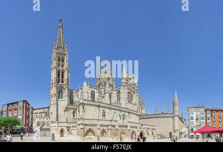 Cattedrale di Burgos, Castilla y León, Castiglia, Spagna Foto Stock