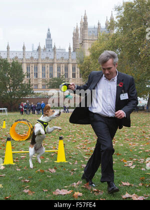 Londra, Regno Unito. 29 ottobre, 2015. Henry Smith MP, Crawley, con il suo cucciolo di Beagle Frisbee. I membri del Parlamento e i loro cani scalpita per una vittoria nelle annuali Westminster cane dell'anno concorso organizzato da cani di trust e il Kennel Club. Credito: Immagini vibranti/Alamy Live News Foto Stock