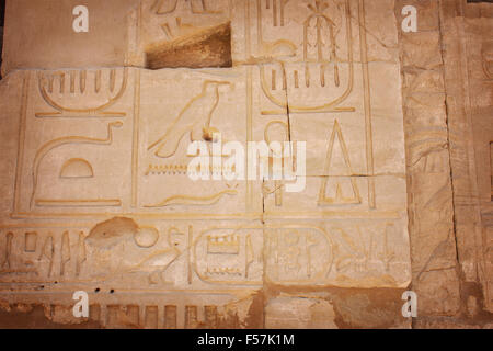 Immagine di immagini scolpite del tempio di Karnak, Egitto. Foto Stock