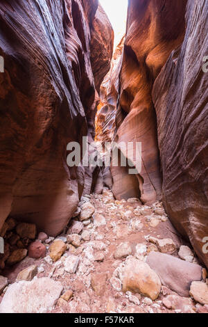 Alti slot di arenaria canyon al Gulch Daino nel sud dello Utah. Foto Stock