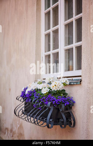 Immagine di un metallo ornati di fiori nella finestra casella. Foto Stock