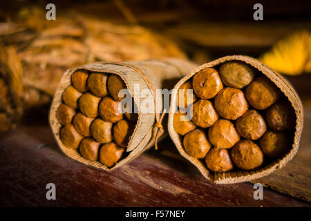 Sigari fatti a mano preparazione dal vivo, artigiano realizzato e pranzo Foto Stock