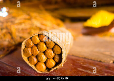 Sigari fatti a mano preparazione dal vivo, artigiano realizzato e pranzo Foto Stock