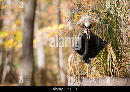 Lo Spaventapasseri decorativo nella parte anteriore di un verde sagebrush impianto. Tenui colori autunnali e al di fuori della messa a fuoco lo sfondo. Copia spazio sulla sinistra. Foto Stock