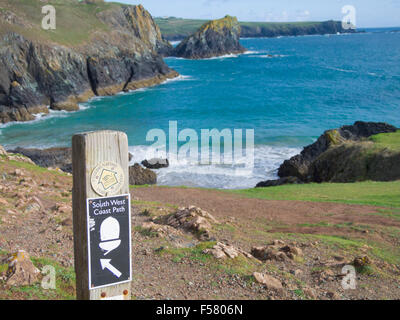 South West Coast Path Waymarker, Kynance Cove, la Lucertola Riserva Naturale Nazionale, penisola di Lizard, Cornwall, Regno Unito Foto Stock