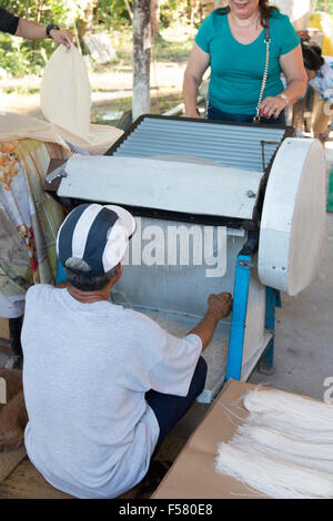 Sau Hoai del riso a base di noodle fabbrica , Can Tho, Delta del Mekong, popolare con gite turistiche per vedere il riso tagliatelle fatte,Vietnam Foto Stock