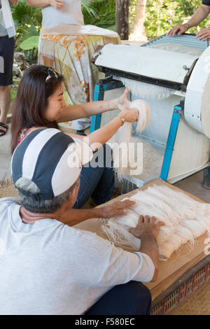 Sau Hoai del riso a base di noodle fabbrica , Can Tho, Delta del Mekong, popolare con gite turistiche per vedere il riso tagliatelle fatte,Vietnam Foto Stock