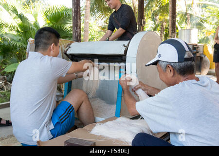 Sau Hoai del riso a base di noodle fabbrica , Can Tho, Delta del Mekong, popolare con gite turistiche per vedere il riso tagliatelle fatte,Vietnam Foto Stock