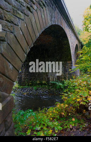 Arcata del ponte stradale Bagni di Matlock Regno Unito Foto Stock