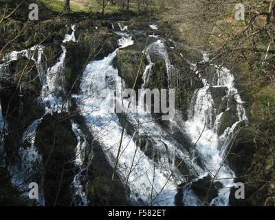 Swallow Falls, Betws Y Coed, Snowdonia, il Galles del Nord Foto Stock