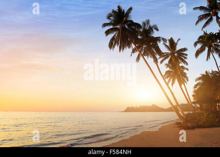 Bel tramonto sulla spiaggia tropicale Foto Stock