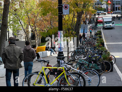 Presso la McGill University Campus in Montreal, Quebec. Foto Stock