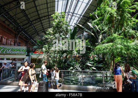 Madrid Spagna,Arganzuela ispanica,Estacion de Madrid Atocha,Madrid Puerta de Atocha,stazione ferroviaria,interno interno,giardino tropicale,Internazionale Foto Stock