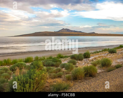 Grande Lago Salato Antelope Island Foto Stock