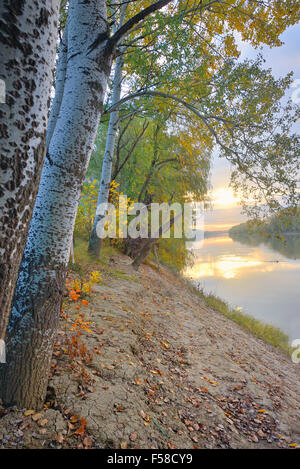 Fiume Siret e sunrise nella foresta di autunno Foto Stock
