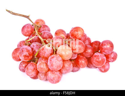 Mazzetto di rosso uve fresche con gocce d'acqua isolati su sfondo bianco Foto Stock