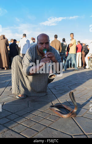 Il serpente incantatore sulla piazza Djemma al Fna, Marrakech, Marocco Foto Stock