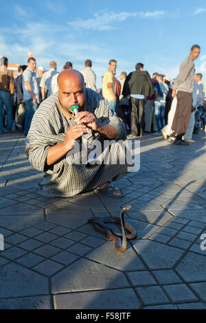 Il serpente incantatore sulla piazza Djemma al Fna, Marrakech, Marocco Foto Stock