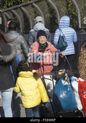 Anziani donna cinese spinge il suo stuff lungo il marciapiede nel vivace quartiere di Chinatown di Sunset Park, Brooklyn, New York. Foto Stock