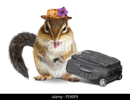 Funny traveler, animale Scoiattolo striado con la valigia isolato su bianco Foto Stock