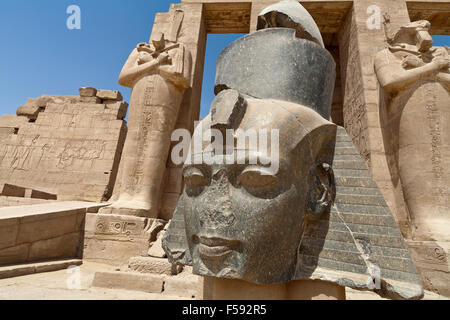Testa di Ramesse 2 nel Ramesseum, Tempio mortuario di Ramesse II sulla riva occidentale del Nilo a Luxor, Egitto Foto Stock