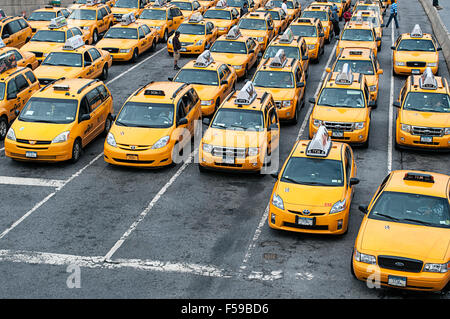 Un mazzetto di taxi in attesa all'Aeroporto LaGuardia. Foto Stock