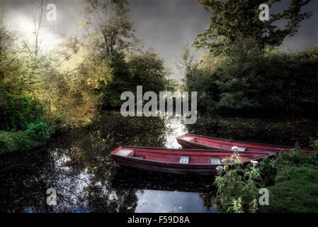 Due imbarcazioni a remi su un lago Foto Stock