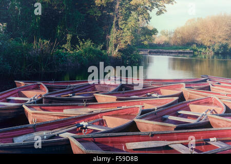 Barche a remi ormeggiate sulle sponde di un lago. Foto Stock