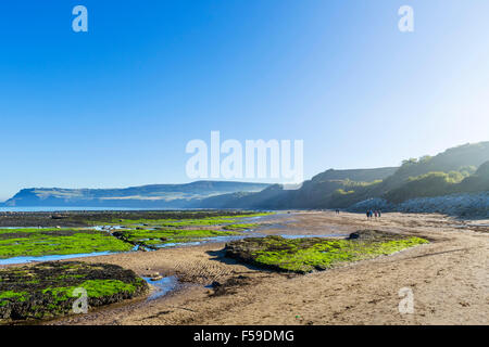 La spiaggia e il litorale a Robin Hood's Bay, North Yorkshire, Inghilterra, Regno Unito Foto Stock
