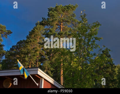 Bandiera svedese sul rosso tipico tetto di cabina in sera sunshine foresta, Varmland, Svezia. Foto Stock