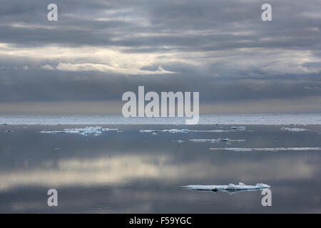 Ice floes, bordo del pack-ghiaccio, Oceano Artico, isola Spitsbergen, arcipelago delle Svalbard Isole Svalbard e Jan Mayen, Norvegia, Europa Foto Stock