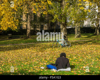 In autunno gli alberi in un parco di Londra Foto Stock