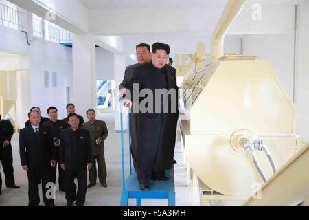 Pyongyang. 31 ott 2015. Foto fornita dalla Korean Central News Agency (KCNA) il 31 ott. 2015 mostra top leader della Repubblica Popolare Democratica di Corea (DPRK) Kim Jong Onu (anteriore) dando orientamenti nel campo a Pyongyang Catfish agriturismo a Pyongyang, Repubblica democratica popolare di Corea. Credito: KCNA/Xinhua/Alamy Live News Foto Stock