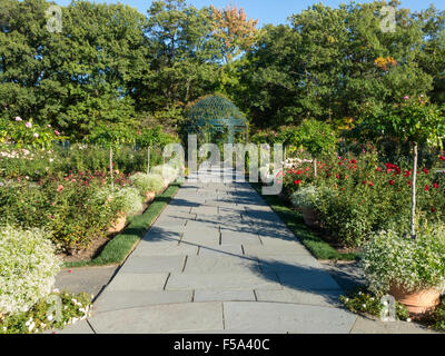 Peggy Rockefeller Rose Garden in New York il giardino botanico, il Bronx, NY, USAe Foto Stock