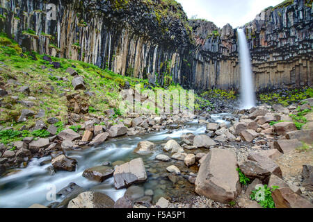 Il Svartifoss con le sue colonne basaltiche nel sud dell'Islanda Foto Stock