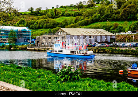 Passeggeri a bordo del traghetto Lady Elizabeth navigate lungo il tranquillo fiume Dart attraverso il piacevole paesaggio verde a Totnes Foto Stock