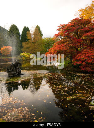 Benmore Botanic Garden Foto Stock