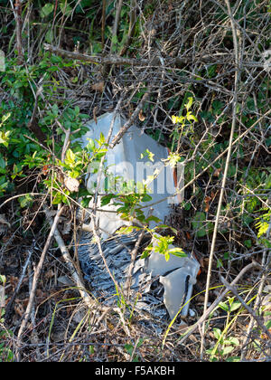 Vecchio piombo acido batteria auto scartato in hedge. Inquinamento ambientale. Foto Stock