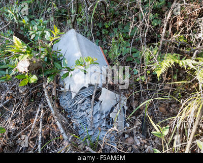 Vecchio piombo acido batteria auto scartato in hedge. Inquinamento ambientale. Foto Stock