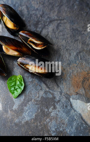 Cuocere le cozze con gusci vista superiore Foto Stock