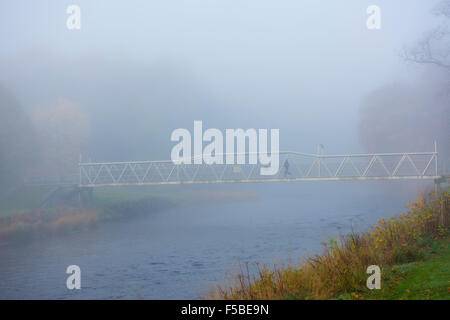 Haylodge Park in una nebbiosa mattina autunnale a Peebles in Scottish Borders, 2015 Foto Stock